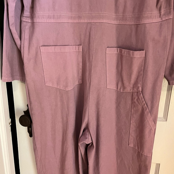 No. 6 Store Dusty Rose Zipper Jumpsuit - Picture 8 of 9